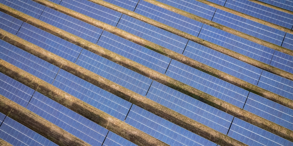 СЕС для виробництва: як сонячна електростанція знижує витрати підприємства